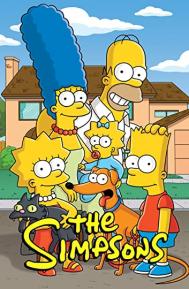 The Simpsons Season 8 poster