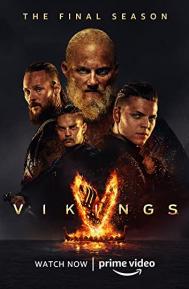 Vikings Season 6 poster