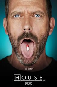 House Season 7 poster