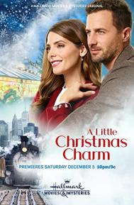 The Charm Bracelet poster