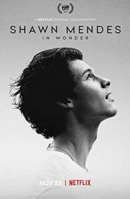 Shawn Mendes: In Wonder poster