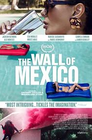 The Wall of Mexico poster