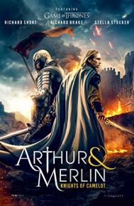 Arthur & Merlin: Knights of Camelot poster