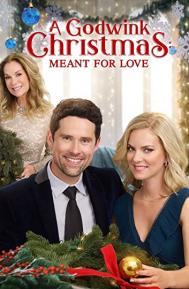 A Godwink Christmas: Meant for Love poster