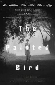 The Painted Bird poster