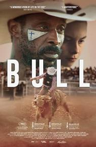 Bull poster