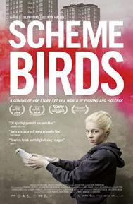 Scheme Birds poster