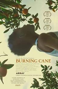 Burning Cane poster