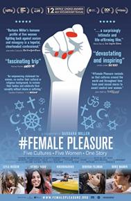 #Female Pleasure poster