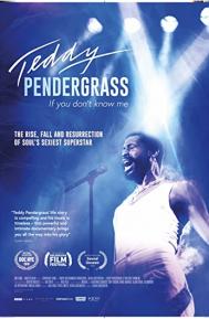 Teddy Pendergrass: If You Don't Know Me poster