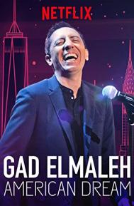 Gad Elmaleh: American Dream poster