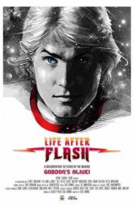 Life After Flash poster