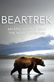 Beartrek poster