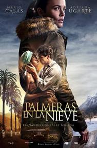 Palm Trees in the Snow poster