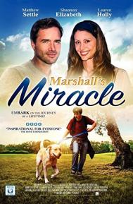 Marshall's Miracle poster