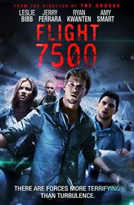 Flight 7500 poster