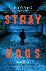 Stray Dogs poster