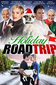 Holiday Road Trip poster