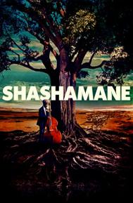 Shashamane poster