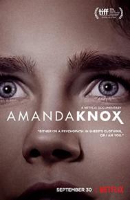 Amanda Knox poster