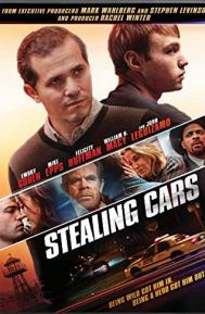 Stealing Cars poster