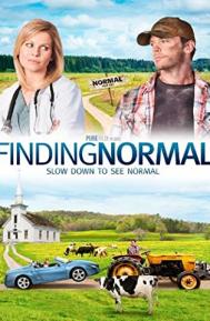 Finding Normal poster