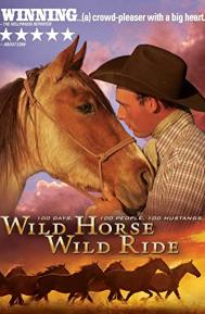 Wild Horse, Wild Ride poster