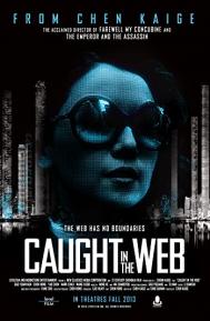 Caught in the Web poster