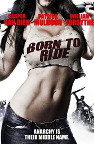 Born to Ride poster