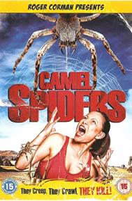 Camel Spiders poster