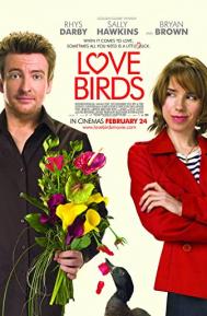 Love Birds poster