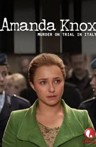 Amanda Knox poster