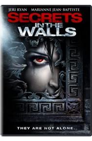 Secrets in the Walls poster