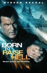 Born to Raise Hell poster