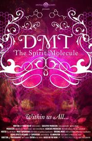 DMT: The Spirit Molecule poster