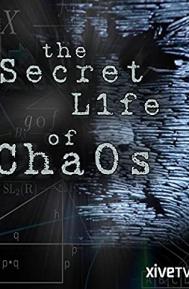 The Secret Life of Chaos poster