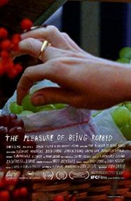 The Pleasure of Being Robbed poster