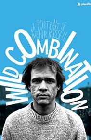 Wild Combination: A Portrait of Arthur Russell poster