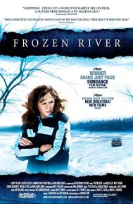 Frozen River poster