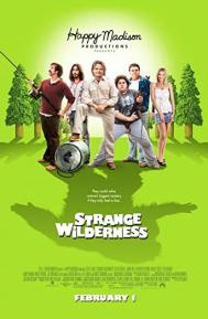 Strange Wilderness poster