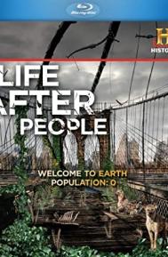 Life After People poster