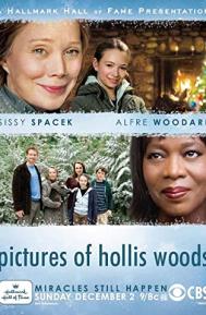 Pictures of Hollis Woods poster