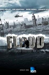 Flood poster