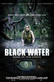 Black Water poster