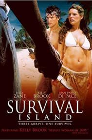 Survival Island poster