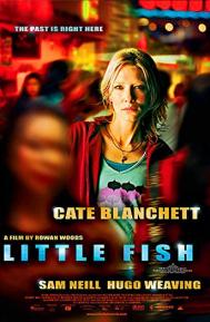 Little Fish poster