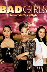 Bad Girls from Valley High poster