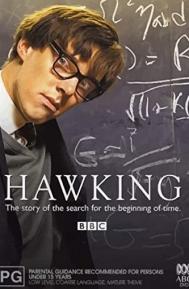 Hawking poster