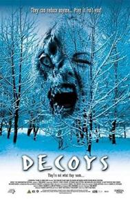 Decoys poster