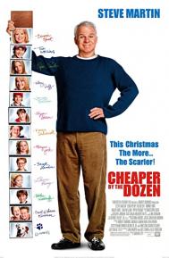 Cheaper by the Dozen poster